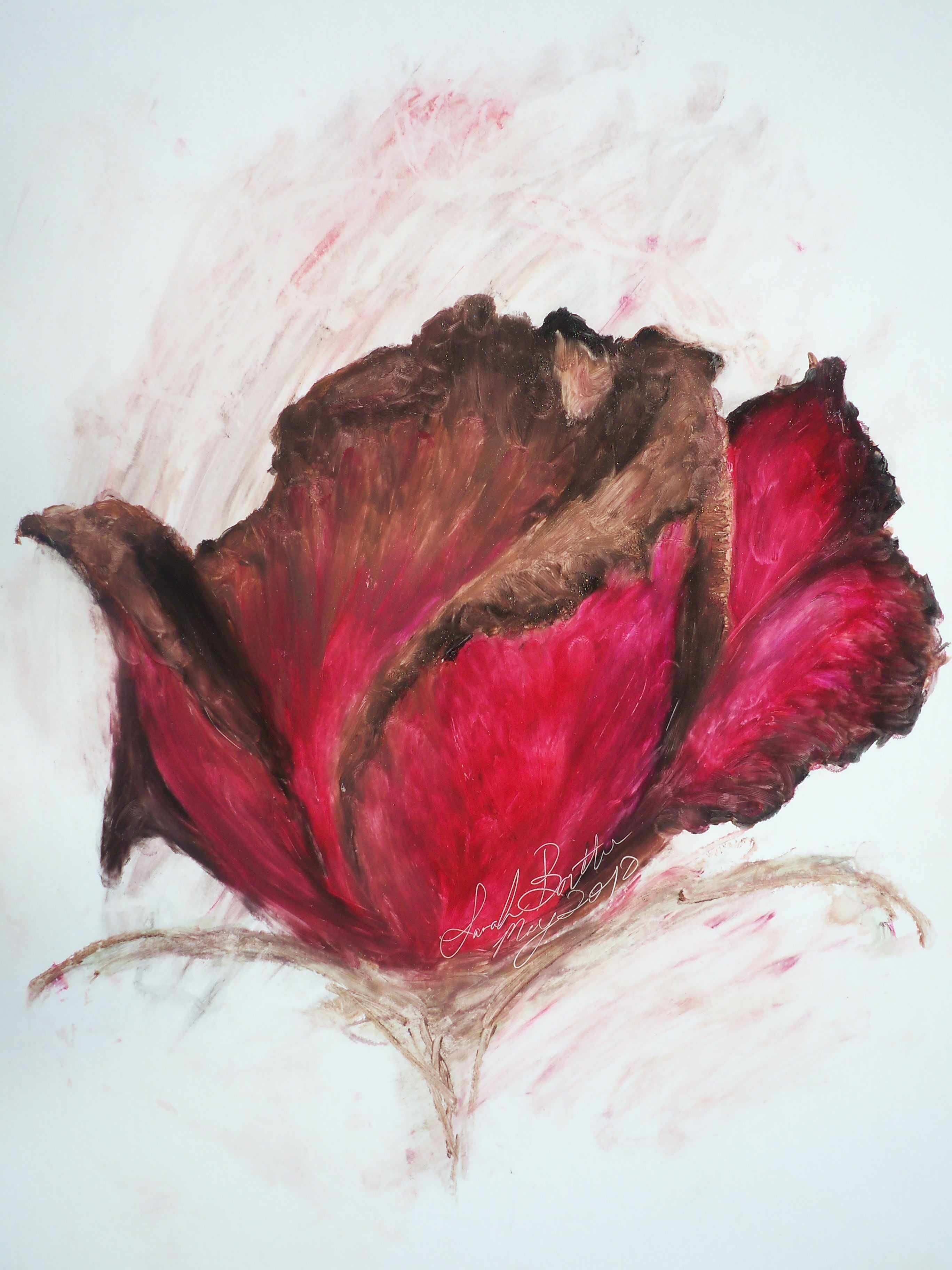 2736x3648 Rose Lipstick Art - Dying Rose Painting