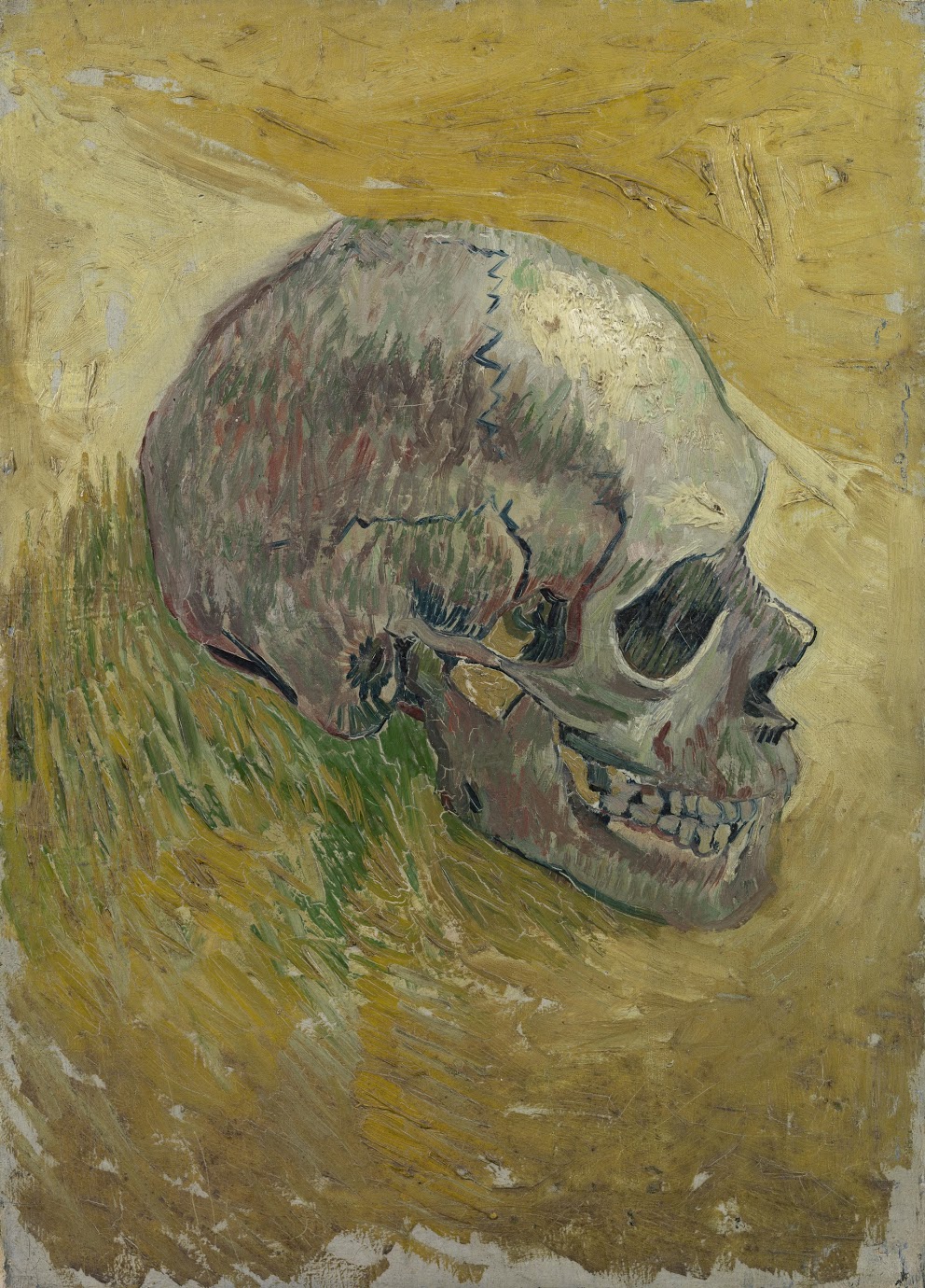 992x1380 Skull - Ea Painting
