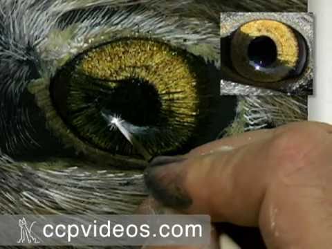 Eagle Eye Painting