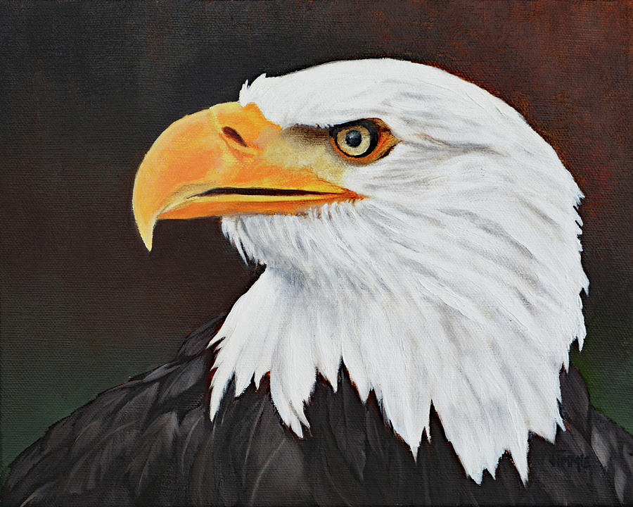 900x720 Eagle Eye Painting By Jimmie Bartlett - Eagle Eye Painting