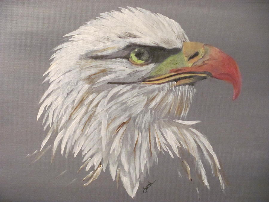 900x675 Eagle Eye Painting By Sarah Nell Griffin - Eagle Eye Painting