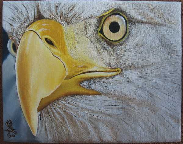600x473 Eagle Eye Xpost In Acrylic - Eagle Eye Painting