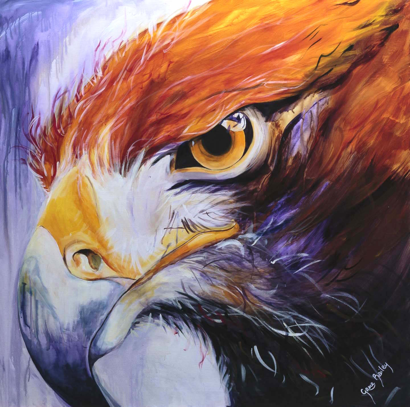 1440x1430 Attitude - Eagle Eye Painting