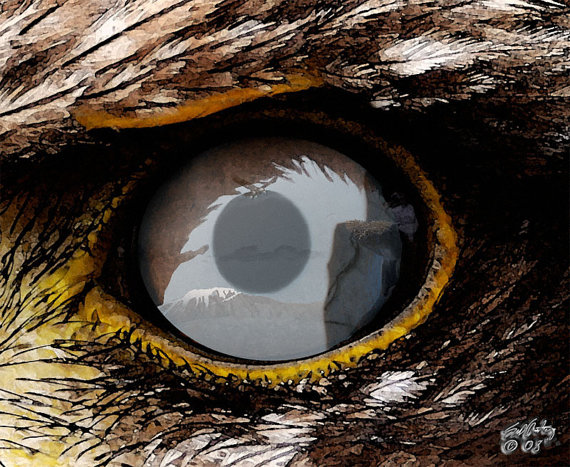 570x467 Eagle Eye Hand Painted Reflection Eagle In Flight Native - Eagle Eye Painting