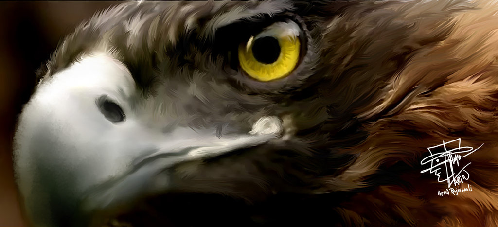1024x467 Eagle Eye By Arin666 - Eagle Eye Painting