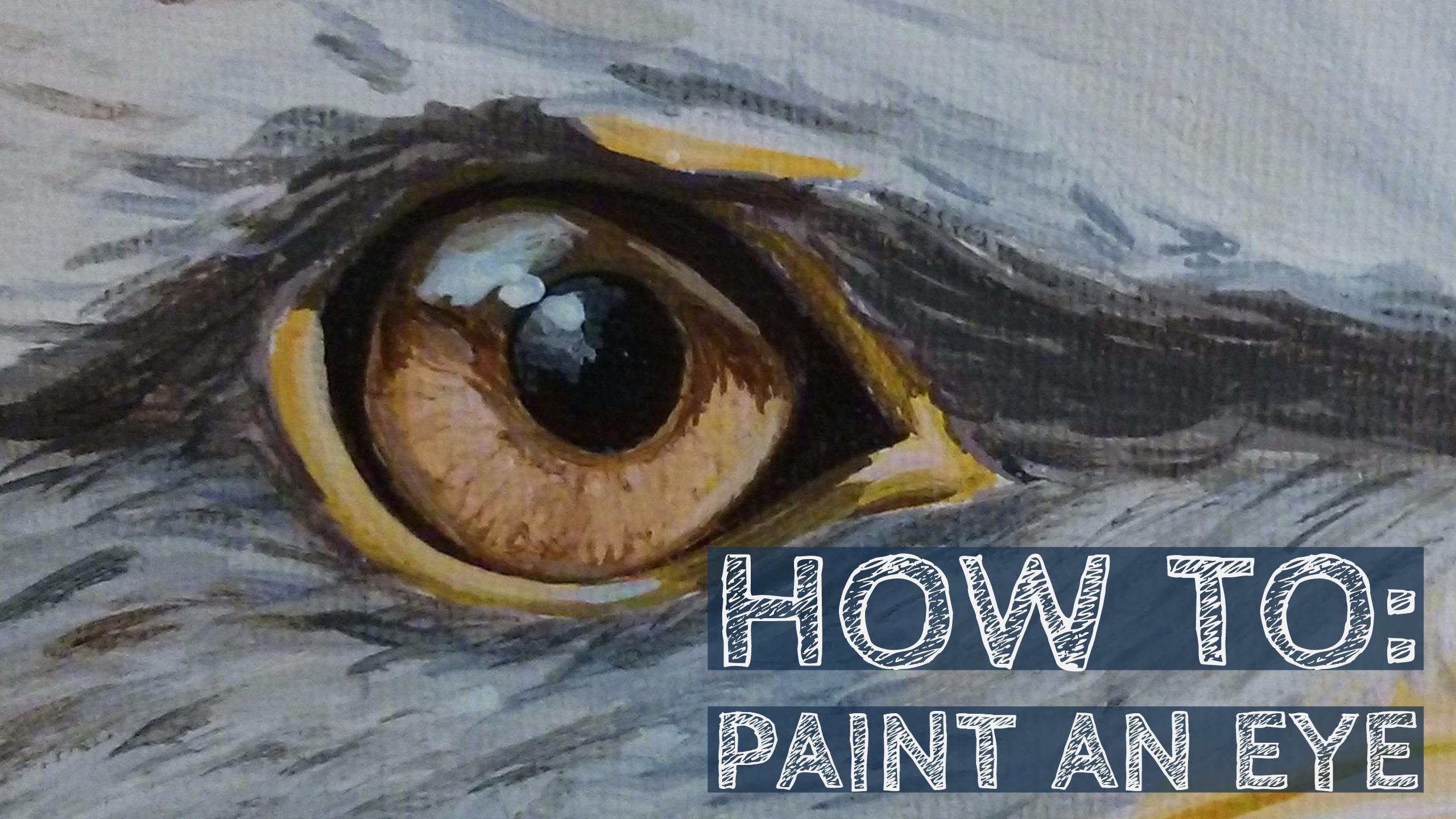 2560x1440 Sssveda 8 How To Paint An Eagle's Eye - Eagle Eye Painting