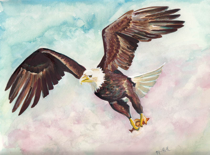 800x589 Bunny's Artwork Freedom Flying Eagle Original Watercolor Painting - Eagle Flying Painting