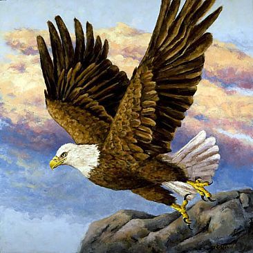366x367 Eagle Paintings Bald Eagle In Flight - Eagle Flying Painting