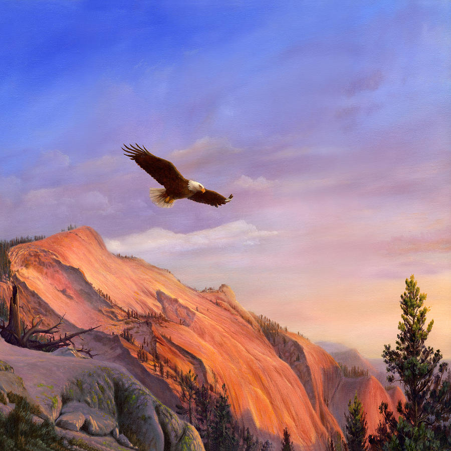 900x900 Flying American Bald Eagle Mountain Landscape Painting - Eagle Flying Painting