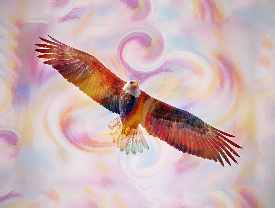900x679 Rainbow Flying Eagle Watercolor Painting Painting By Georgeta Blanaru - Eagle Flying Painting
