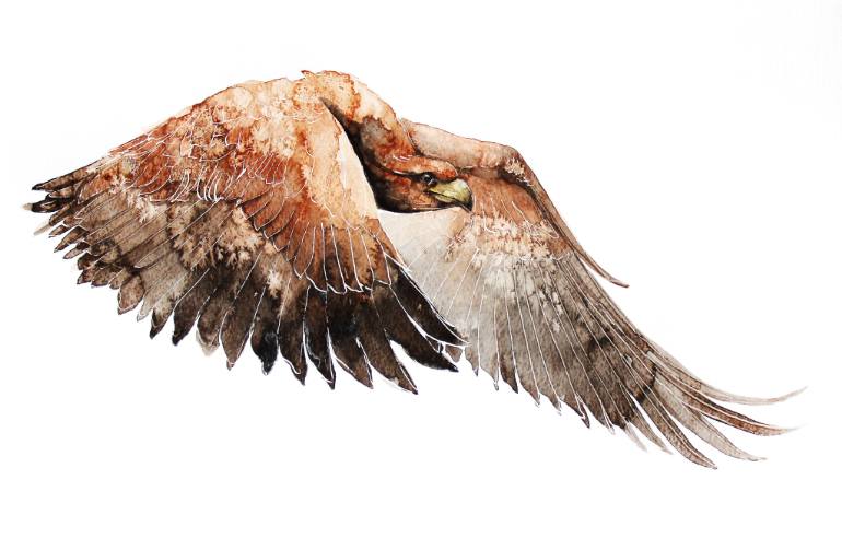 770x492 Saatchi Art Flying Eagle Painting By Karolina Kijak - Eagle Flying Painting