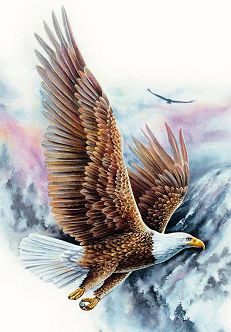 Eagle Flying Painting at PaintingValley.com | Explore collection of ...