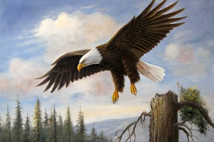 750x498 American Bald Eagle Mountain Flying Large Oil Painting In Painting - Eagle Flying Painting