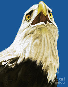 235x300 Eagle Head Paintings Fine Art America - Eagle Head Painting