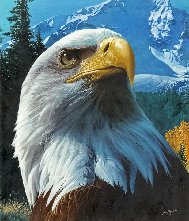 617x720 Eagle Mountain Oil Painting Bird Paintings Eagle - Eagle Head Painting