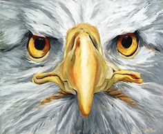 236x194 Eagle Painting Painting Eagle, Paintings And Bird - Eagle Head Painting