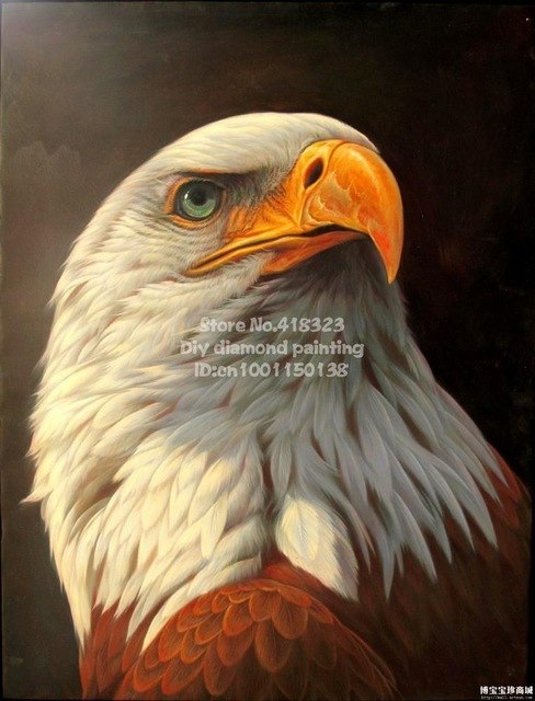 488x640 Buy The Eagle Head Diy Diamond Paintings Animals - Eagle Head Painting