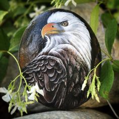 236x236 Original Bald Eagle's Head Painted On A Flat Sea Rock - Eagle Head Painting