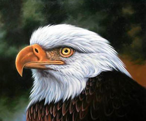 300x250 The Bald Eagle Head Animals Bird American Oil Painting Christmas - Eagle Head Painting