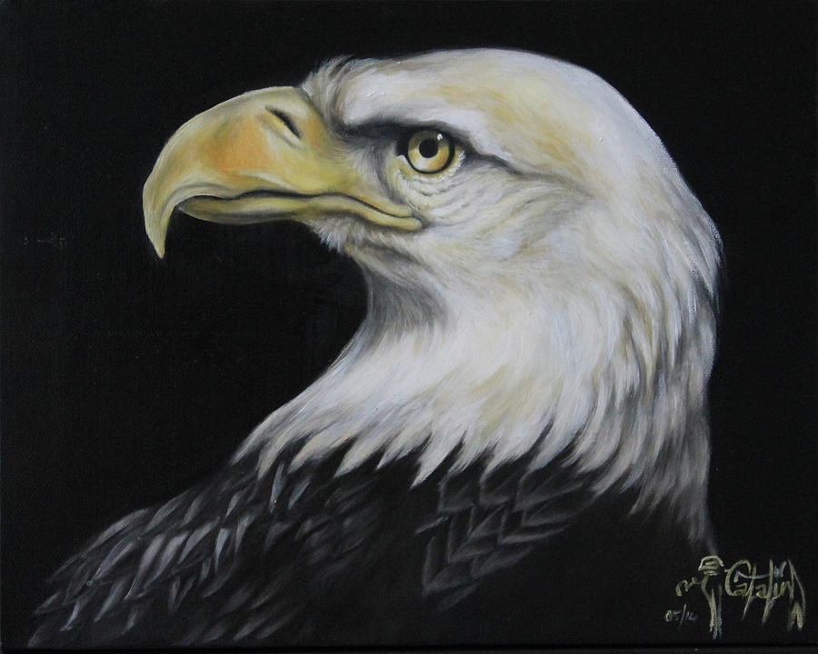 900x720 Bald Eagle Head Painting Painting By Catalina Diaz - Eagle Head Painting