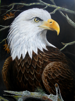288x390 Don Edwards Art - Eagle Head Painting