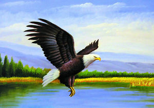 300x210 Art Wall Modern Home Decor Hd Prints Animals Oil Painting - Eagle Oil Painting