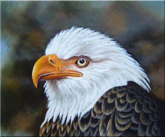 547x456 Framed Proud And Brave National Emblem - Eagle Oil Painting