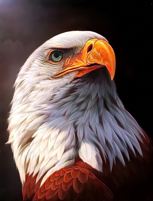 488x640 Modern Handmade Painting Eagle Portrait On Oil Painting Canvas - Eagle Oil Painting