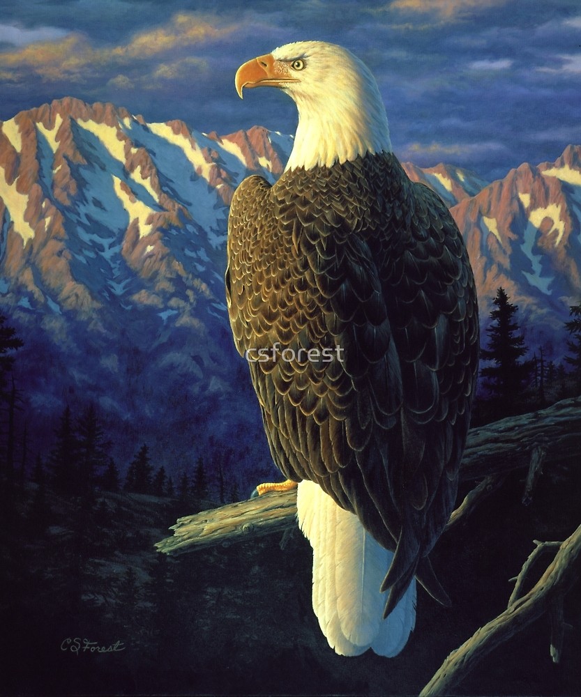 833x1000 Morning Quest - Eagle Oil Painting
