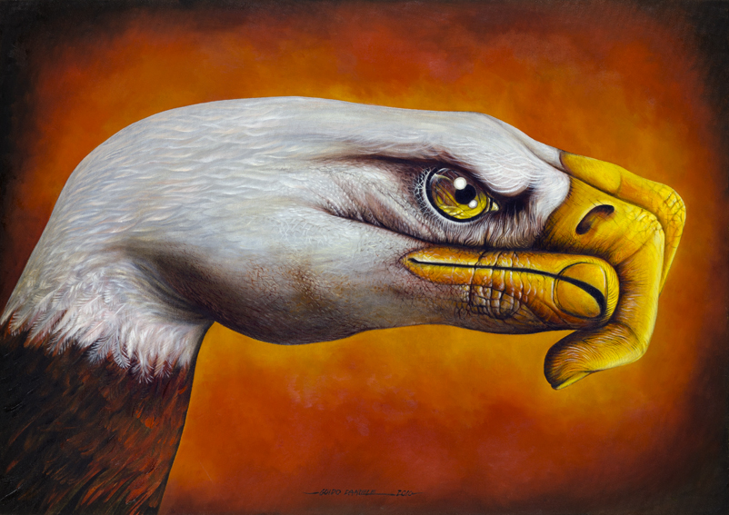 802x567 Oil Painting - Eagle Oil Painting