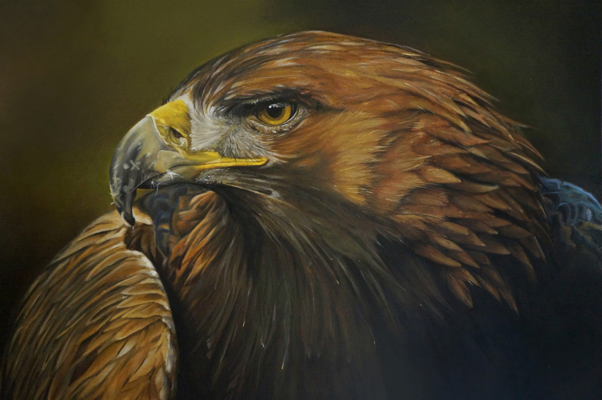 1204x800 Paintings - Eagle Oil Painting