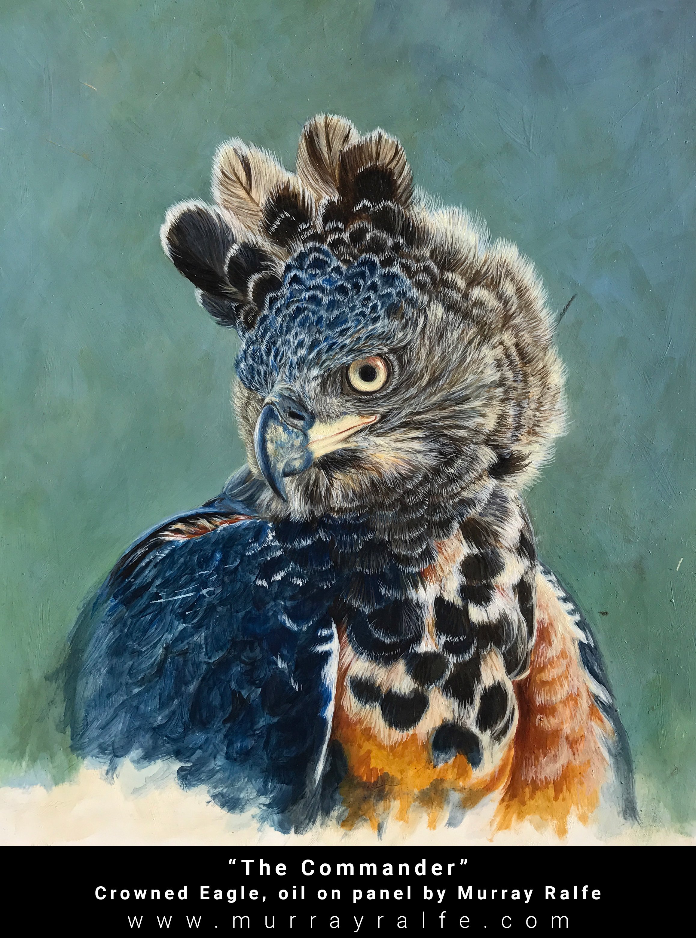 2316x3120 The Commander Crowned Eagle Oil Painting Murray Ralfe Art - Eagle Oil Painting