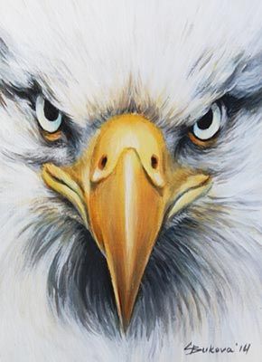290x400 Aceo Original Art Eagle Close Up Face Bird Detailed Oil Painting - Eagle Oil Painting
