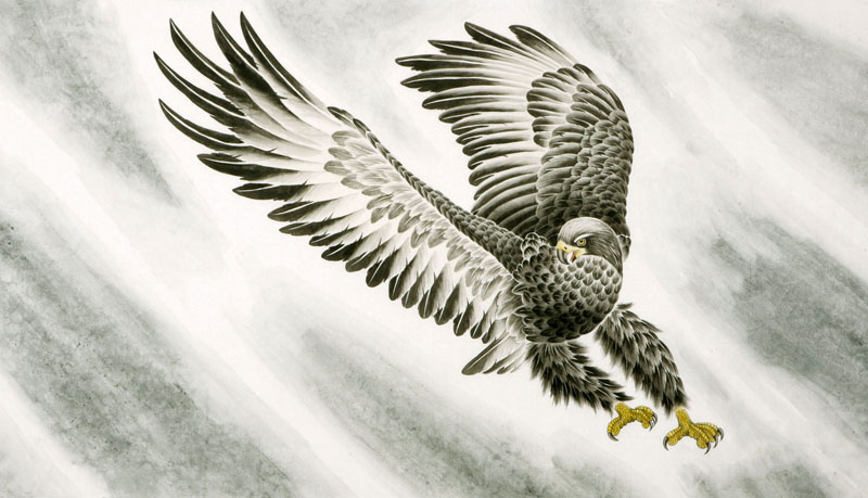 800x459 Chinese Eagle Paintings, China Eagle Art Scrolls, Pictures, Images - Eagle Painting