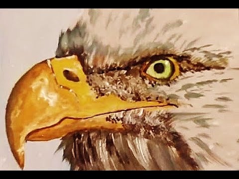 480x360 Eagle Acrylic Painting Tutorial Hd - Eagle Painting