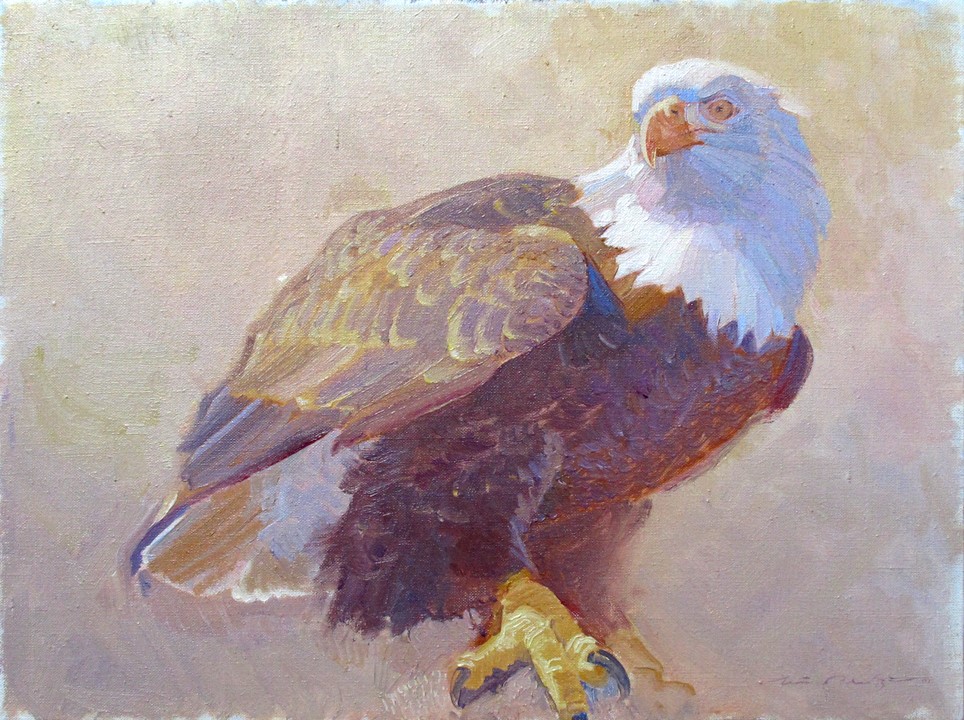 964x720 Charles Timothy Prutzer Painting Untitled Eagle Painting Oil On Linen - Eagle Painting Images