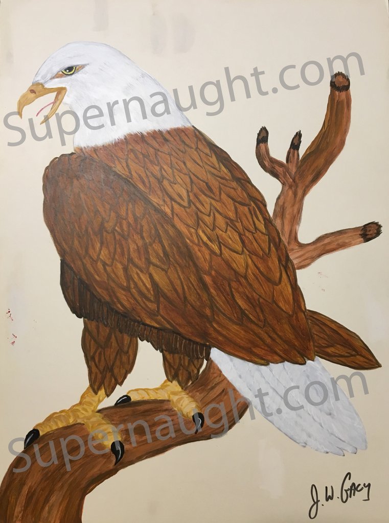 761x1024 John Wayne Gacy American Eagle Painting Signed Supernaught - Eagle Painting Images
