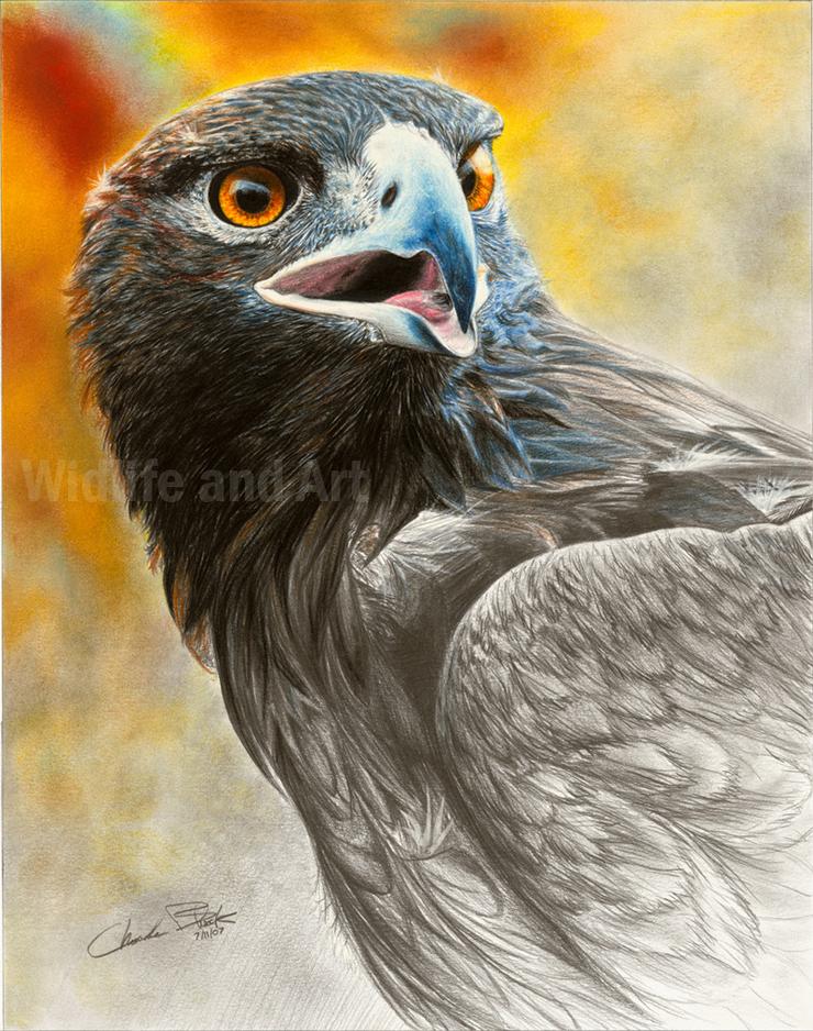 740x938 Original Golden Eagle Painting - Eagle Painting Images