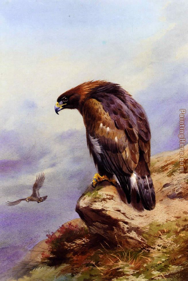655x980 Archibald Thorburn A Golden Eagle Painting Anysize 50% Off - Eagle Painting Images