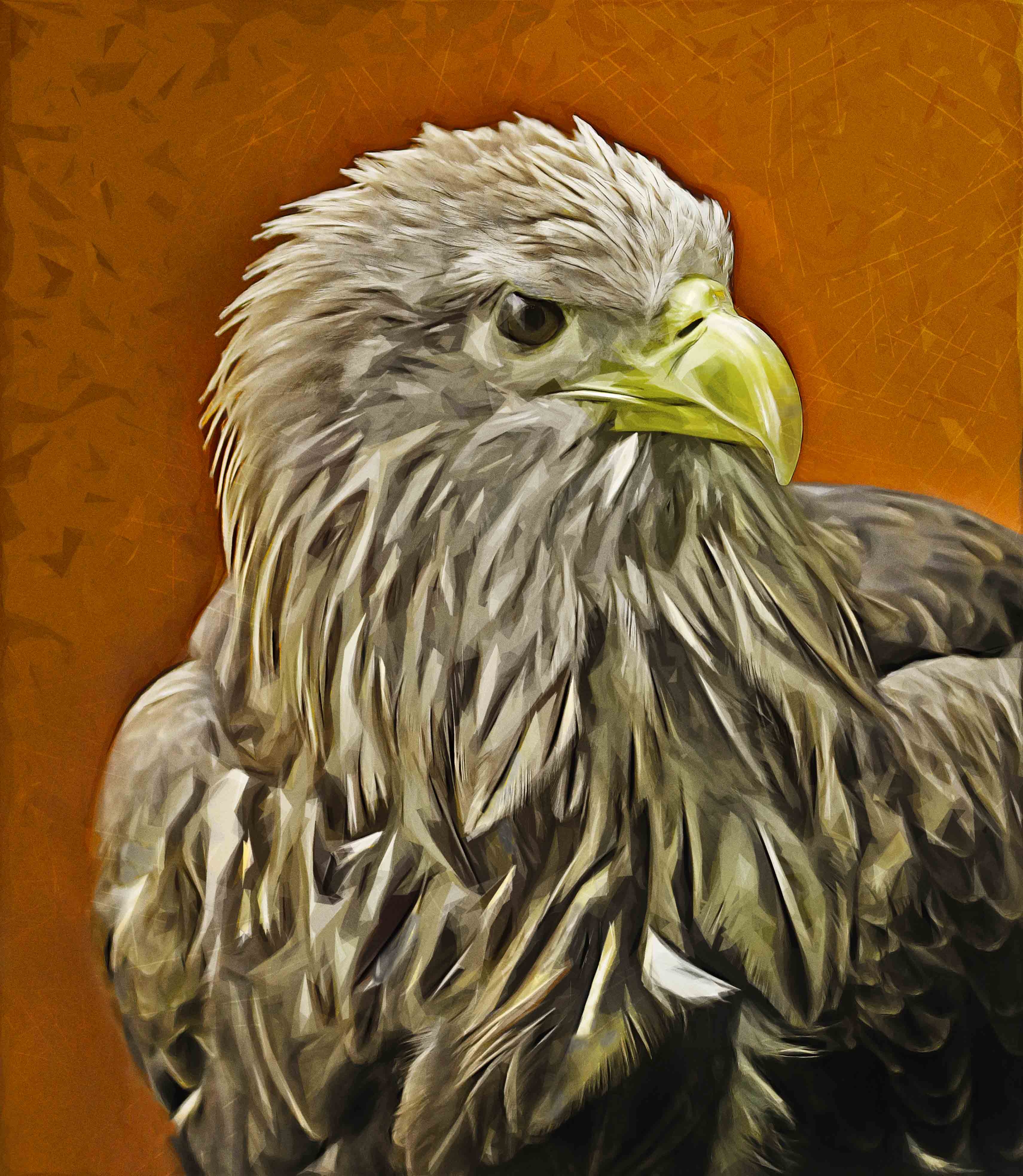 3422x3934 White Tailed Sea Eagle Painting - Eagle Painting Images