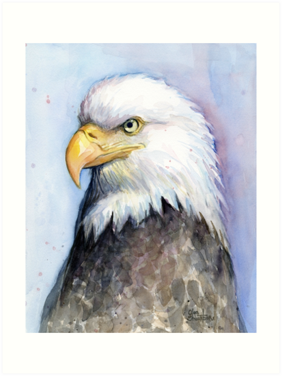 413x549 Bald Eagle Painting Watercolor Art Prints By Olga Shvartsur - Eagle Painting Images