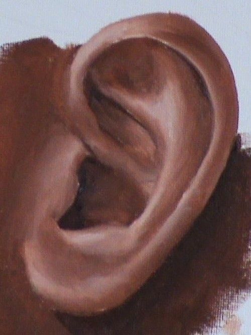 500x666 Free Painting Lesson - Ear Painting