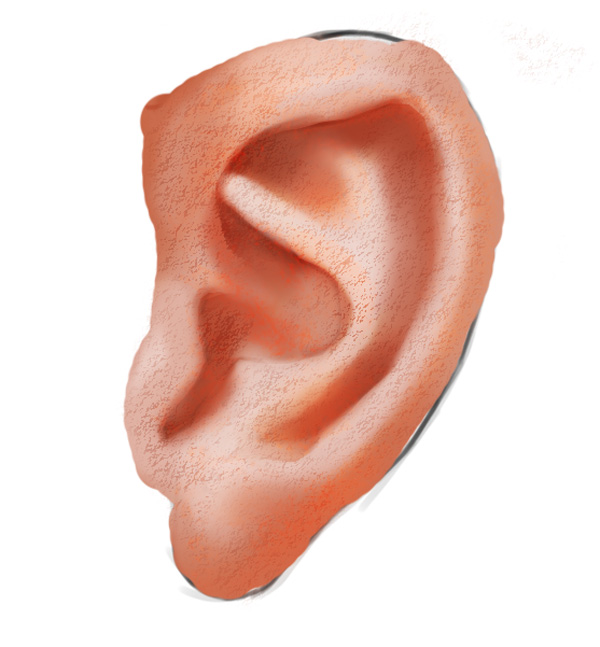 600x647 How To Paint A Realistic Ear In Adobe Photoshop - Ear Painting