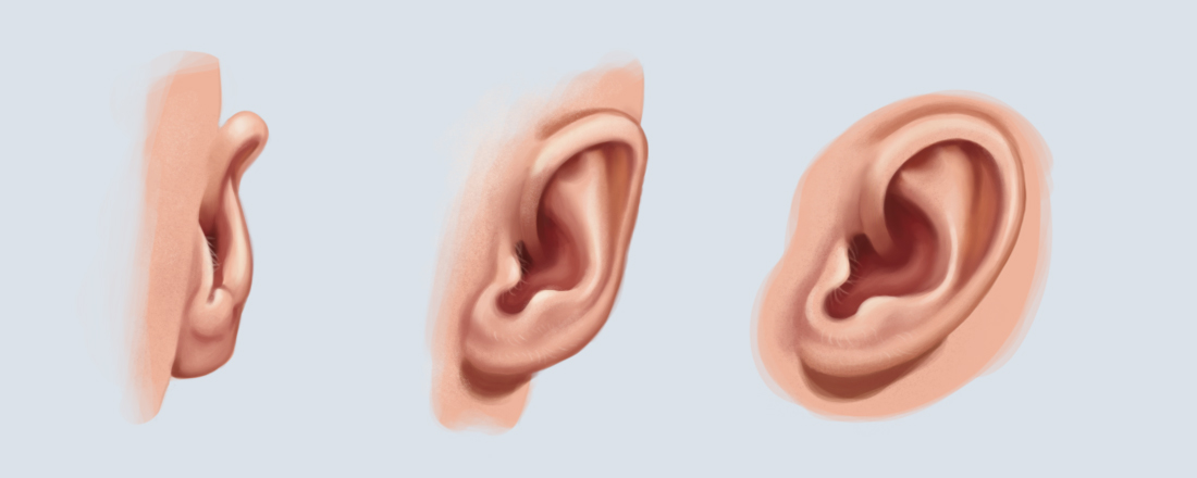 1100x440 Jeff Searle Drawing The Ear - Ear Painting