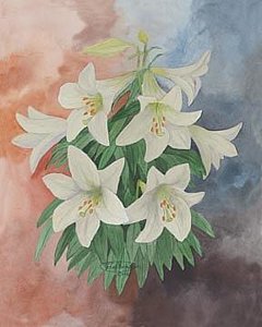 240x300 Easter Lilies Paintings - Easter Lily Painting