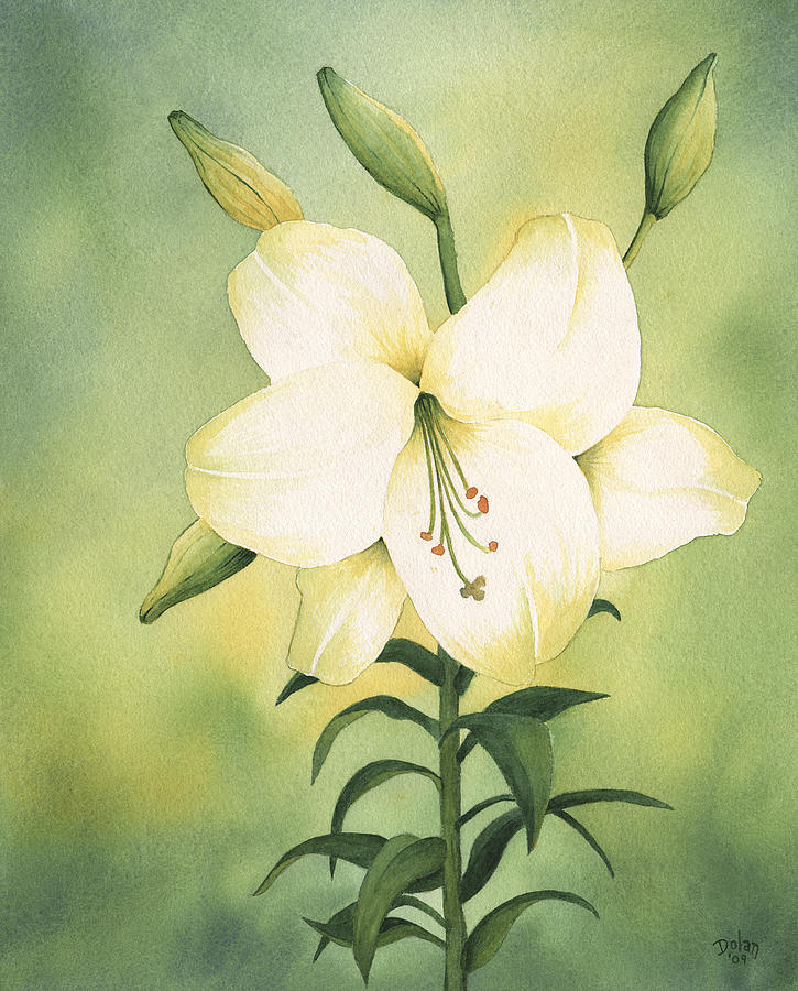 725x900 Easter Lily Painting By Greg Dolan - Easter Lily Painting