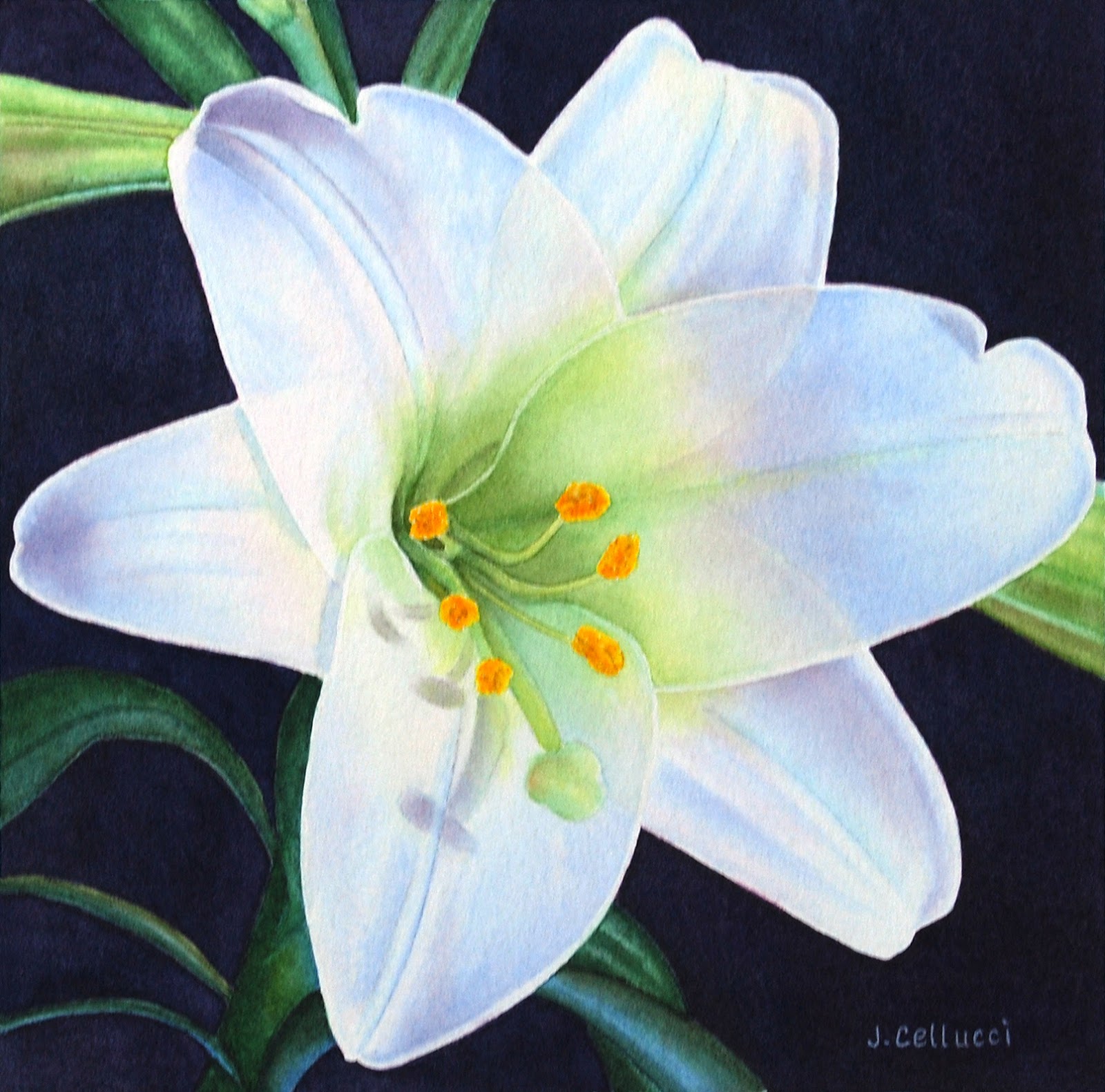 1600x1581 Water, Color And Light - Easter Lily Painting