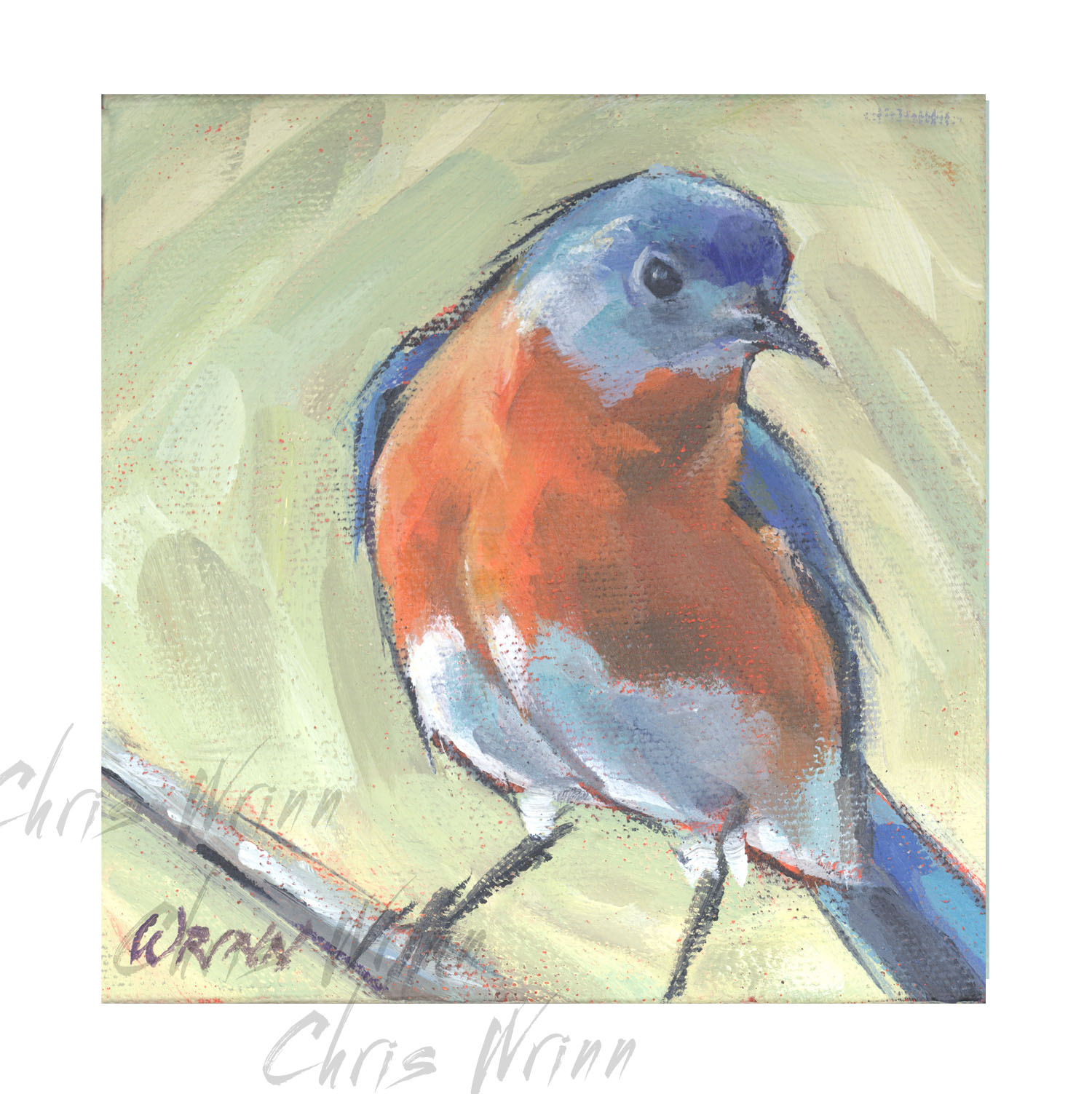 1500x1503 Eastern Bluebird Painting 5x5 On Gallery Wrapped Canvas, Bird - Eastern Bluebird Painting