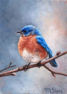 236x332 Eastern Bluebird, Original Watercolor Painting, 10 X 8 - Eastern Bluebird Painting