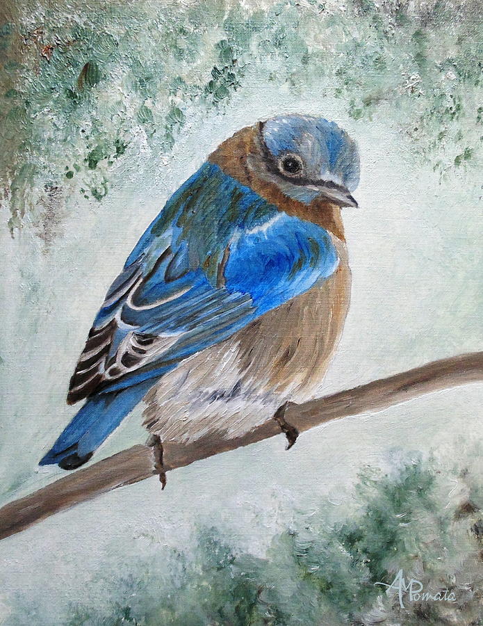 695x900 Eastern Bluebird Painting By Angeles M Pomata - Eastern Bluebird Painting